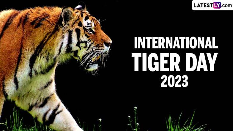 When is International Tiger Day 2023? Know Date and Significance of the Day That Highlights the Need to Protect Tigers | ???????? LatestLY