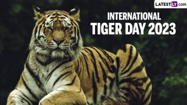 International Tiger Day 2023: From Bandipur Tiger Reserve in Karnataka to Kaziranga Tiger Reserve in Assam, 5 Popular Tiger Reserves in India That You Should Visit