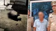 Kanpur Bestiality Video: 57-Year-Old Brijesh Kumar Mishra Caught on Camera Raping Cow, Arrested for Unnatural Sex; CCTV Footage Surfaces
