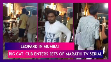 Leopard In Mumbai: Big Cat, Cub Enters Sets Of Marathi TV Serial At Film City In Mumbai’s Goregaon