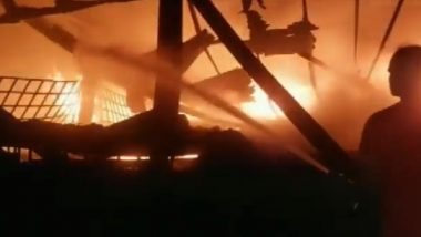 Ludhiana Fire Video: Massive Blaze Erupts at Plastic Factory Near Jandiali Village, No Casualty Reported