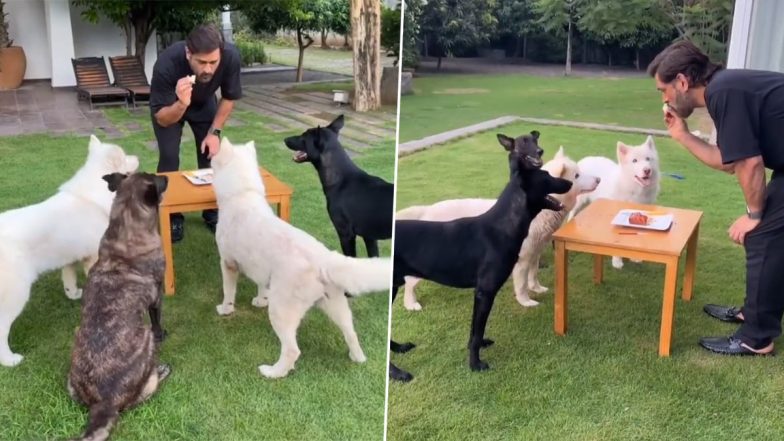 MS Dhoni Thanks Fans For Their Wishes, Shares Glimpses of Celebrating Special Occasion of 42nd Birthday With His Pets (Watch Video)