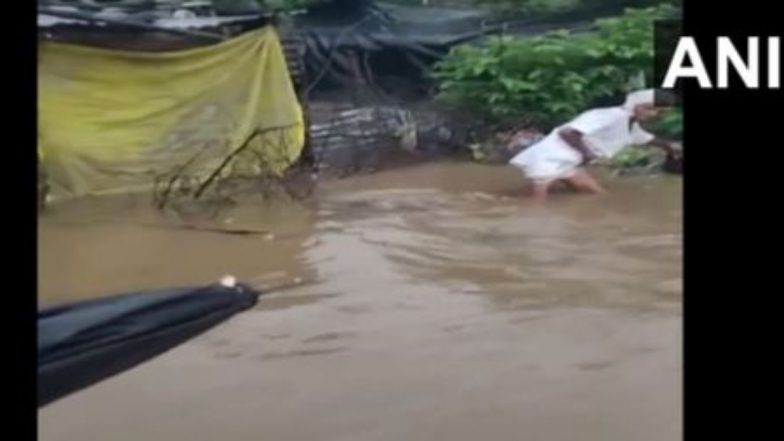 Maharashtra Rains: Crops on 13,000 Hectares in 176 Villages Affected by Rain in Kinwat Tehsil in Nanded