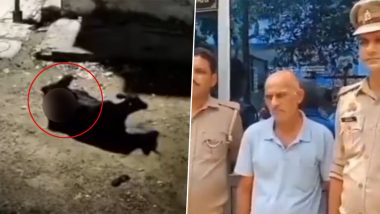 Uttar Pradesh Bestiality Horror: Elderly Man Vijendra Mishra Caught on Camera Having Sex With Animals Including Cow and Dog in Kanpur, Arrested After Disgusting Video Surfaces