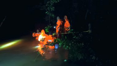 Telangana Rains: NDRF Rescues 80 Tourists Stranded at Muthyala Dhara Waterfalls in Mulugu (See Pics and Video)