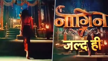 Naagin 7 Promo Out! After Tejasswi Prakash, Is Ayesha Singh or Priyanka Chahar Choudhary The New Naagin? (Watch Video)