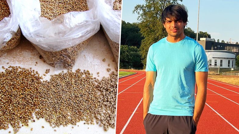 Neeraj Chopra Happy With Millet's Increasing Popularity Across Global Menus Including Michelin-Starred Restaurants (See Post)