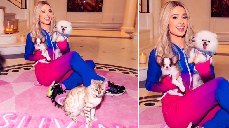 Paris Hilton Gets Called Out by PETA Over Getting a New Puppy From ...