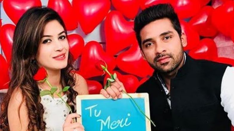 Bigg Boss Season 11 Couple Bandgee Kallra and Puneesh Sharma Break Up After Five Years of Dating (View Post)