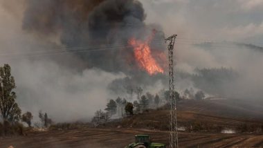 Spain Forest Fire: Spanish Authorities Evacuate Some 500 People to Escape Wildfire on the Canary Island of La Palma