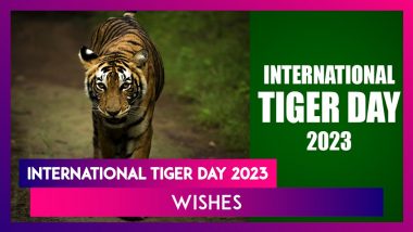 International Tiger Day 2023 Quotes: Messages To Share And Spread Awareness About Preserving Tigers