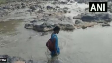 Chhattisgarh: Teacher Crosses River on Foot Every Day To Reach School in Dhaurpur, Collector Urges Others To Take Inspiration and Reach School on Time (Watch Video)