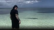 Real Life Superhero! The Undertaker Jumps In to Protect Wife Michelle McCool From Shark Attack, WWE Legend's Brave Act Goes Viral (Watch Video)