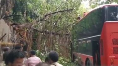 Mumbai Rains Accident Video: Tree Falls on New BEST AC Double-Decker Electric Bus Near Azad Maidan; None Hurt
