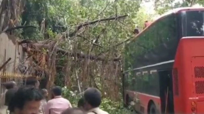 Tree Falls on New BEST AC Double-Decker Electric Bus Near Azad Maidan; None Hurt