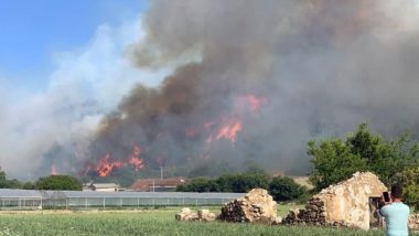 Turkey Wildfire: Citizens Evacuated After Forest Fire Breaks Out in Aliaga