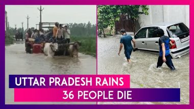 Uttar Pradesh: 36 People Die Due To Lightning, Drowning, & Other Rain-Related Issues; CM Yogi Adityanath Expresses Grief