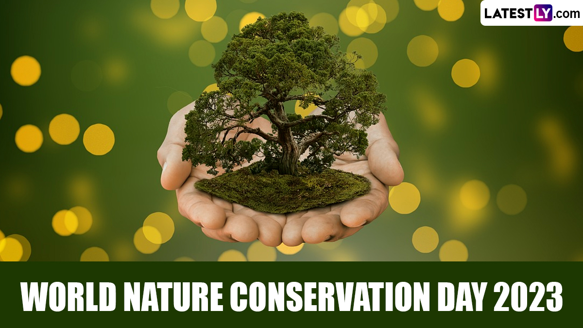 conservation of natural resources slogans