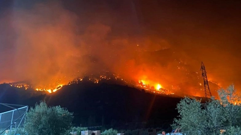 Wildfire in Greece: Wildfires Continue To Rage on Rhodes Island, 19,000 Evacuated (Watch Video)