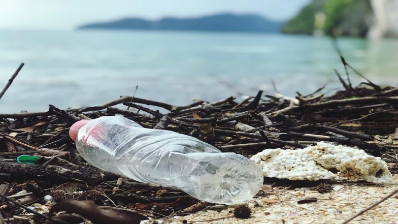 International Plastic Bag Free Day 2023: Netizens Share Messages and Quotes To Represent the Harms of Single-Use Plastic to Our Environment