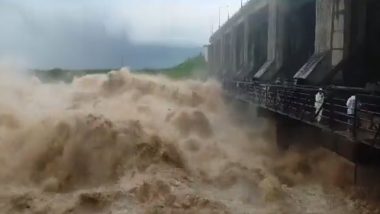 Telangana Floods: Bodies of Five Washed Away in Mulugu Found, Search On for Eight Others (See Pics and Video)