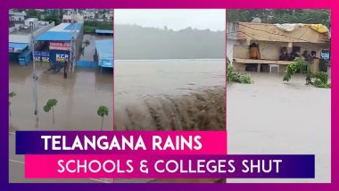 Telangana Rains: Heavy Rainfall Wreaks Havoc, 10 People Washed Away; Schools & Colleges Shut