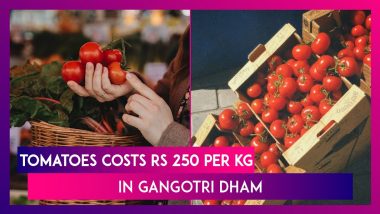 Tomatoes Now Costing Rs 250 Per Kg In Gangotri Dham; Rs 180 To 200 Per Kg In Uttarkashi, Uttarakhand