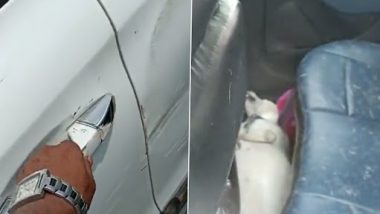 Dog Suffocates to Death After Being Left Locked Inside Car by Tourists Visiting Taj Mahal in Agra, Heart-Wrenching Video Goes Viral