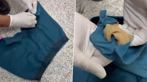 Gold Paste Worth Rs 20 Lakh Seized from Passenger's Undergarment: Customs Officials Recover 331 Grams of Gold Paste From Passenger at Hyderabad Airport (Watch Video)