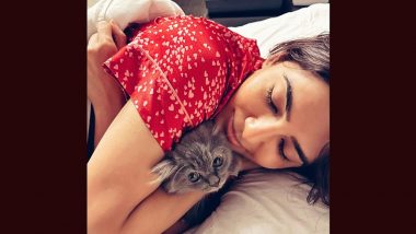 Samantha Ruth Prabhu's 'Purr-Fect' Moment: Actress Shares Adorable Picture with Feline Friend!