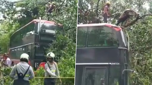 Mumbai Rains: Tree Falls on Newly-Inducted AC Double Decker Bus in Fort Area, None Hurt (Watch Video)