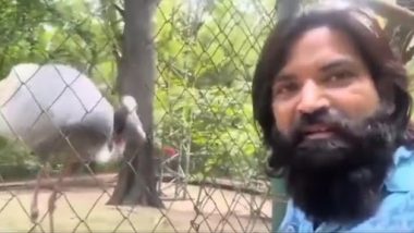 Arif Meets ‘Friend' Sarus in Kanpur Zoo Again Video: Sarus Shakes Neck Up and Down, Spread Wings on Seeing ‘Saviour’, Bird’s Heart-Wrenching Reaction Goes Viral!