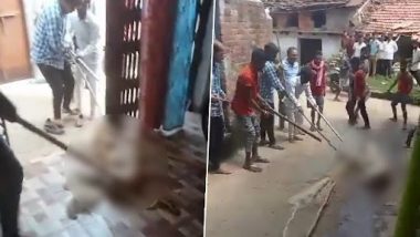 Dog Brutally Killed on Camera in Madhya Pradesh: Fed Up of its Barking, Pet Dog Dragged and Thrashed to Death in Jabalpur (Watch Video)