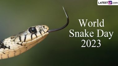 World Snake Day 2023: Know Date and Significance of the Day That Highlights The Need To Protect Slithering Reptiles