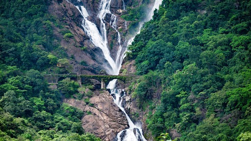 Dudh Sagar Waterfall in Goa Sees Huge Rush of Tourists Which Disrupts Train Services, Indian Railways Ban De-Boarding at Stations Along Braganza Ghat (Watch Video)