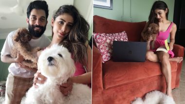 Mouni Roy Shares Precious Moments of Sunday Bliss with Husband and Adorable Fur Babies (View Pics)