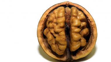 World Brain Day 2023: Best Foods To Add to Your Diet for Improving Brain Health and Memory