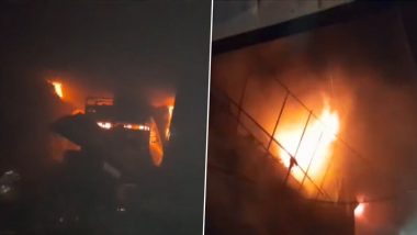 Delhi Fire: Massive Fire Breaks Out at Mayapuri Factory, Nine People Injured (Watch Videos)