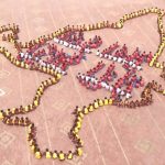 Independence Day 2023 Special: Surat School Students Form Human Chain in Shape of Indian Map as Part of ‘Meri Maati, Mera Desh’ Campaign (Watch Video)