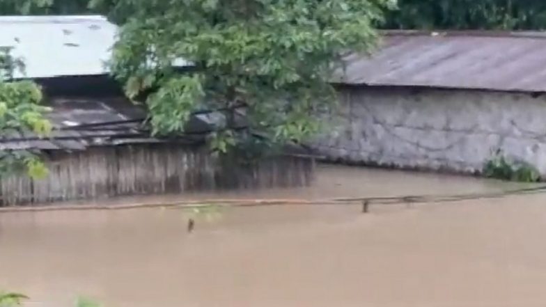 Assam Rains: Flood Situation in State Turns Grim Again Due to Incessant Rainfall, 53,000 Marooned in Six Districts (Watch Video)