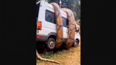 Giant Python Coils Around Ambulance in Viral Video, Netizens Explain Why Clip on Instagram Could Be Fake!