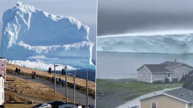 Gigantic Berg Passes Through Iceberg Alley Near Ferryland in Newfoundland, Canada (See Pics)