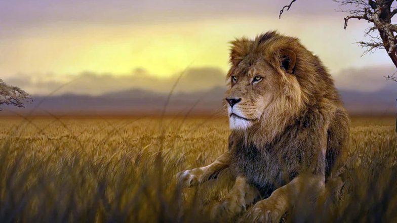 World Lion Day 2023: Gujarat CM Bhupendra Patel Launches ‘Sinh Suchna’ App for Tracking Lions; Announces New Safari Park in Gir Somnath District