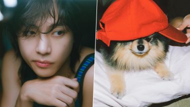 BTS V aka Kim Taehyung Releases Promotion Schedule for Layover on Social Media!