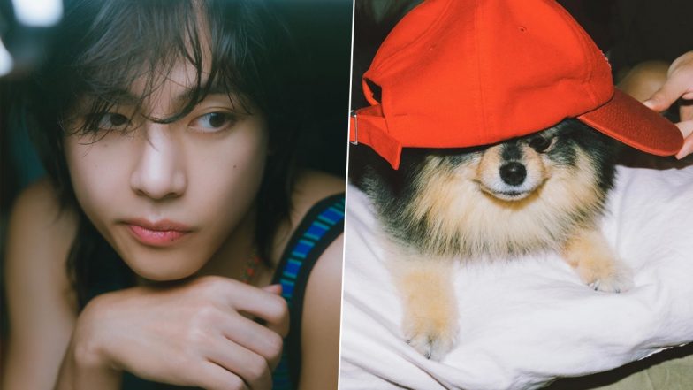 BTS V aka Kim Taehyung Releases Promotion Schedule for Layover on ...