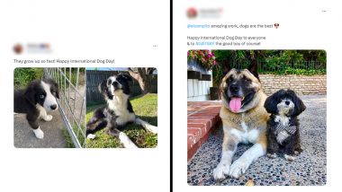 International Dog Day 2023 Wishes: Netizens Share Adorable Pics and Videos of Their Canines To Celebrate the Day (View)