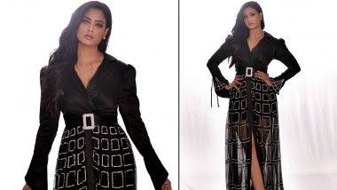Shweta Tiwari Spells Glam in Stunning Black Mesh Gown (See Pics)