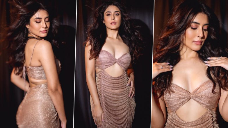 Kritika Kamra Looks Glamorous in Shimmery Cut-Out Dress With Plunging Neckline (See Pics)