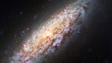 'Mr Lonely' NGC 6503: NASA Shares Image of Empty Galaxy Located 18 Million Light Years Away From Earth (See Pic)