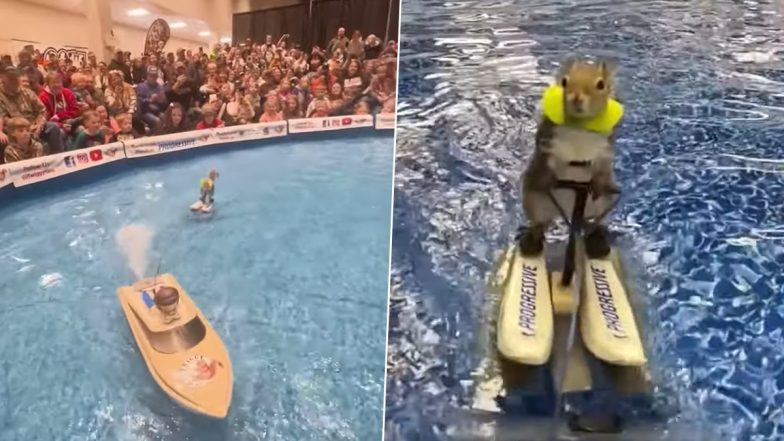 Water-Skiing Squirrel: Popular Squirrel Twiggy Showcases Its Exceptional Skiing Skills As Delighted Crowd Cheers in Florida (Watch Video)